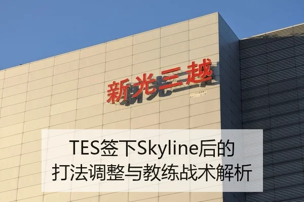 TES签下Skyline后的打法调整与教练战术解析